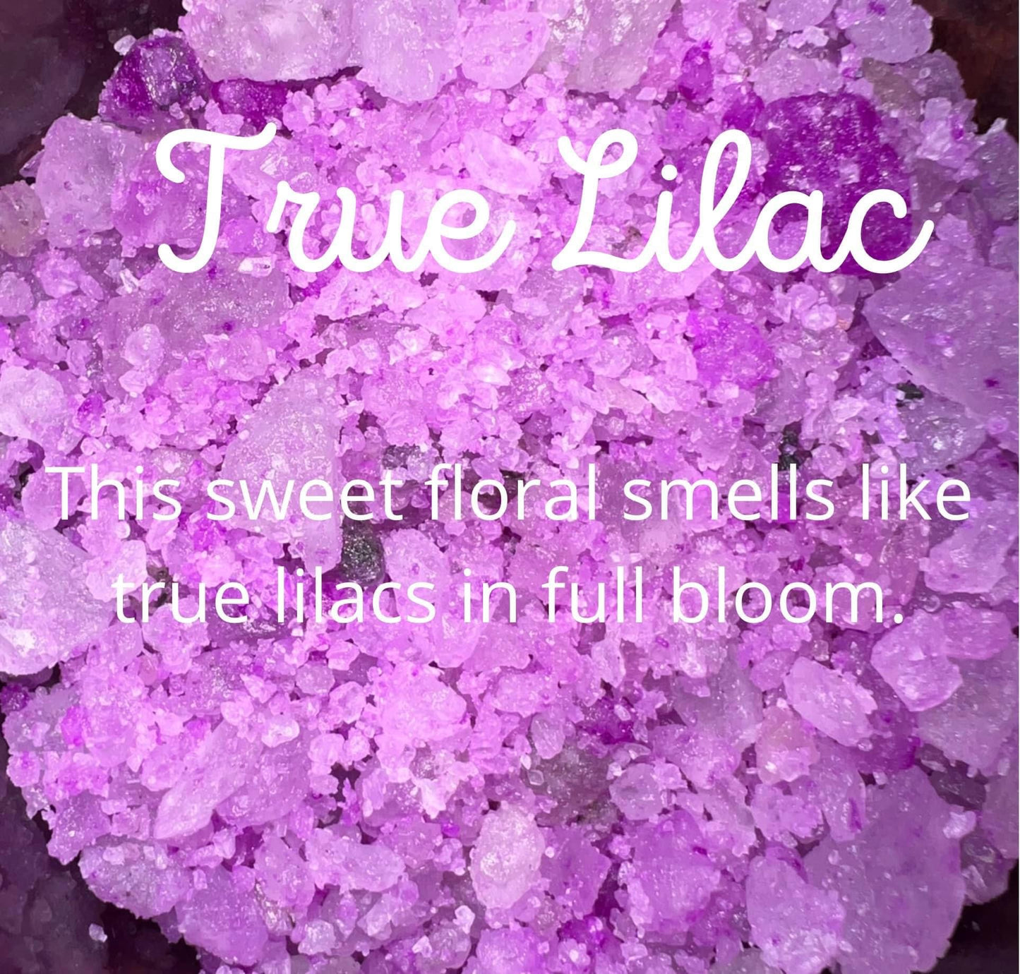 True Lilac Trial Size Salt Sizzlers