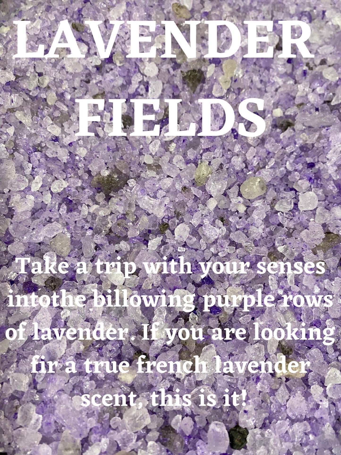 Lavender Fields Salt Sizzlers